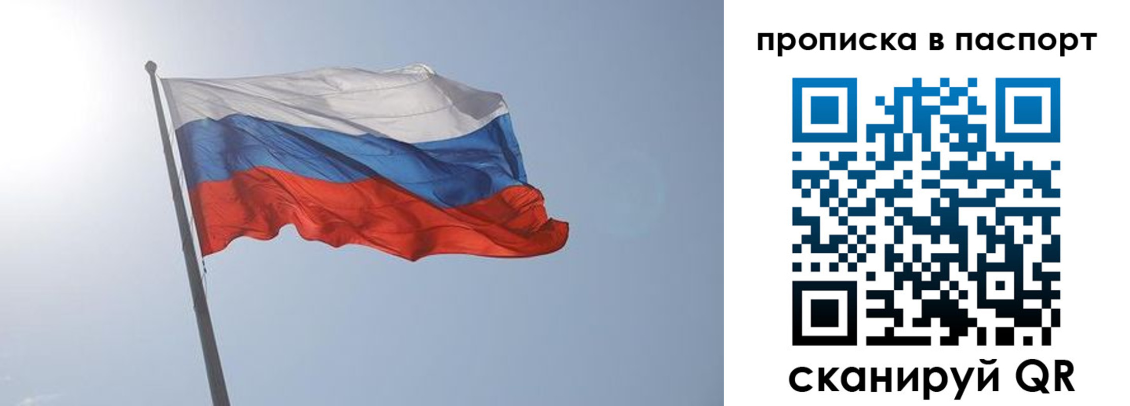 прописка для школы в Нелидово